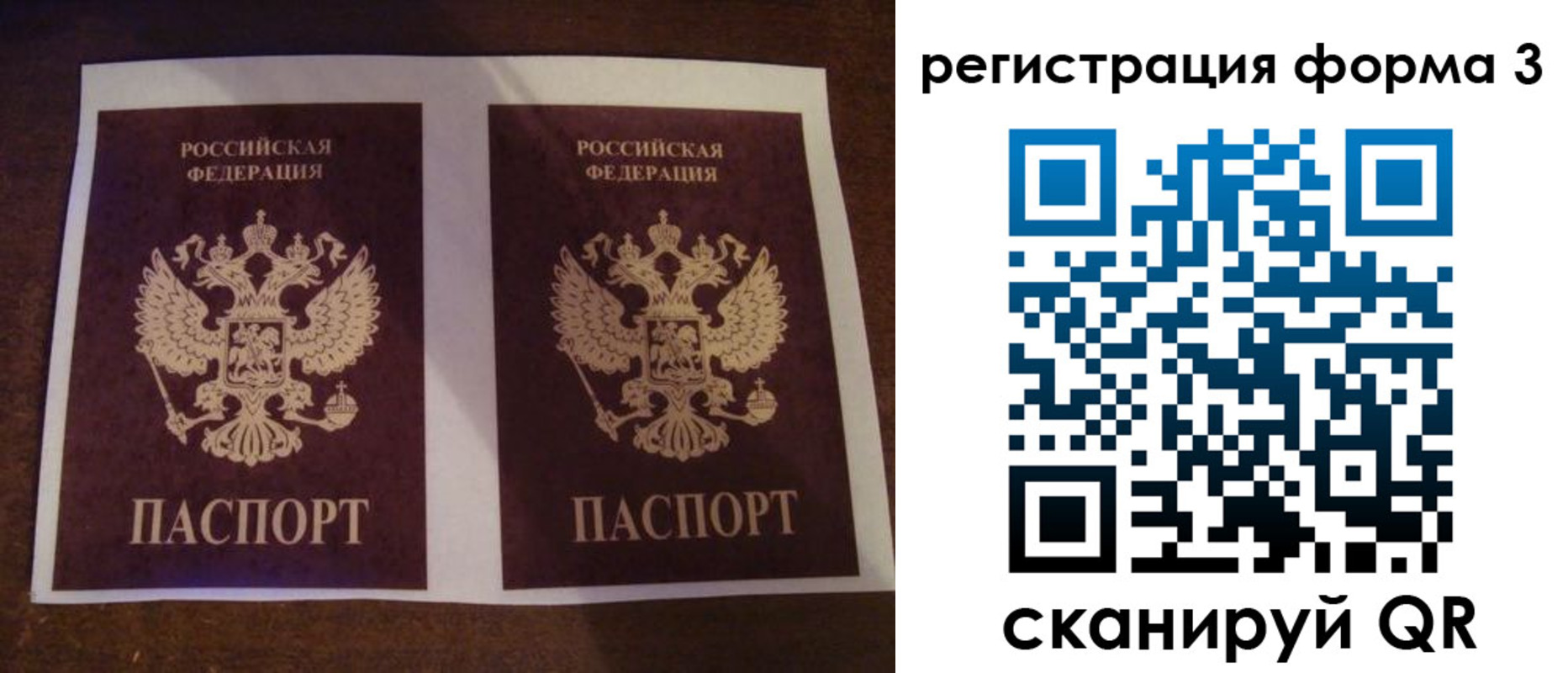 прописка 2025 в Волгограде